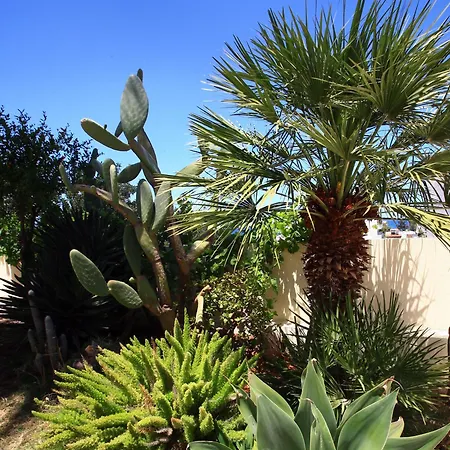 Eurohotel Katrin (adults Only) 4*