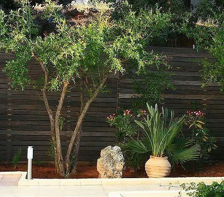 Hotel Eurohotel Katrin (adults Only) Hersonissos (Crete)