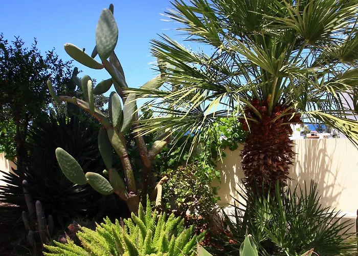 Eurohotel Katrin (adults Only) 4*