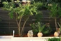 Eurohotel Katrin (adults Only) מלון